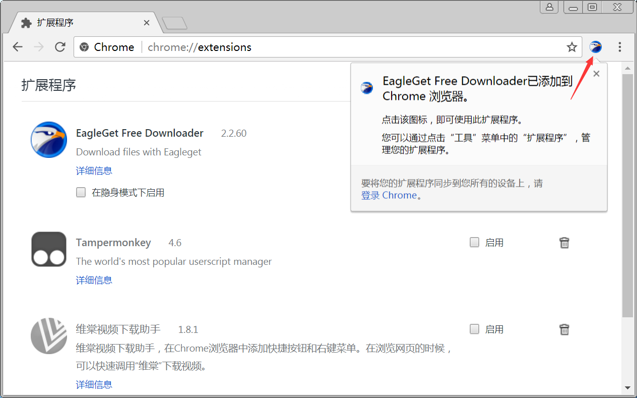 EagleGet Downloader扩展已成功添加到Chrome浏览器右上角