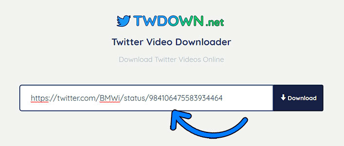转到TwDown.net网站并在输入框中粘贴推特视频链接，然后单击下载