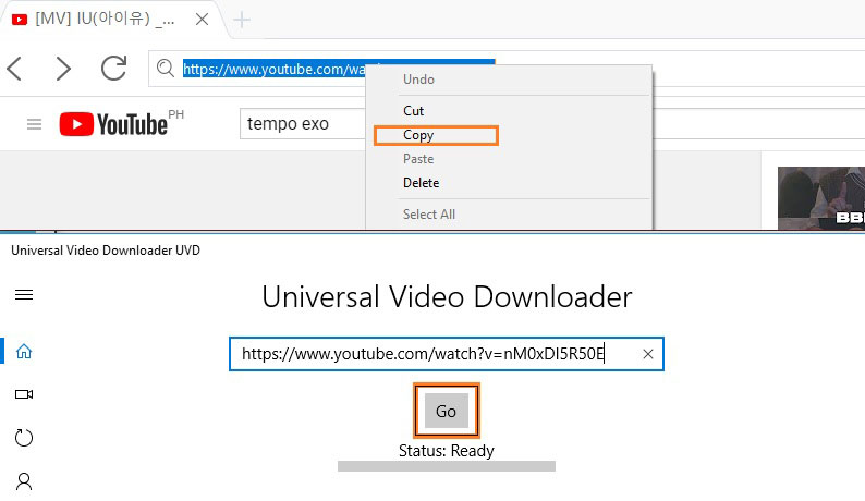 微软Universal Video Downloader复制并粘贴HTML5视频链接